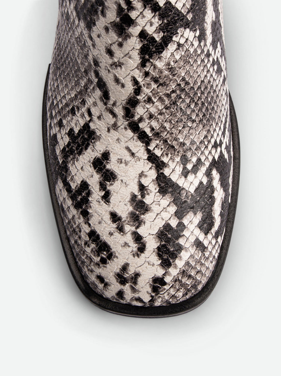 Robin Snake-embossed Leather Heel Mules - Toe Close-up View - POEVE Collection