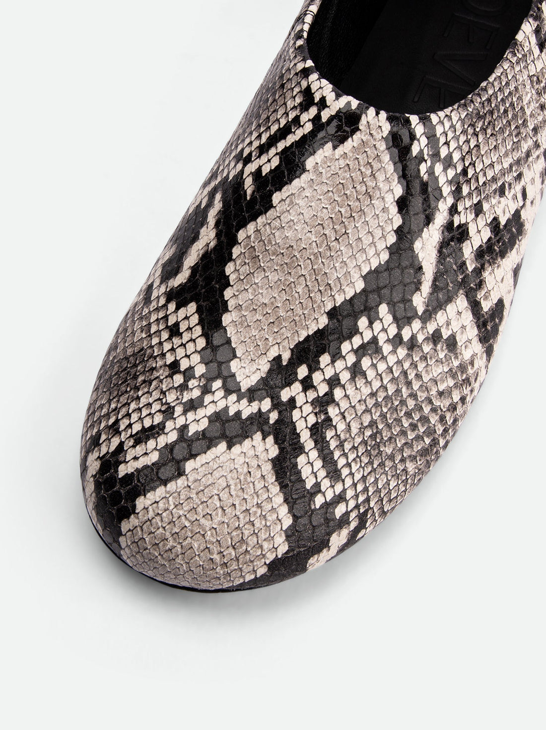 Talia Snake-Embossed Leather Flats – Close-Up – POEVE Collection